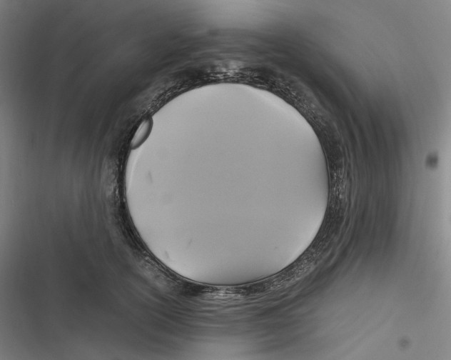 X0000116800754201001081334