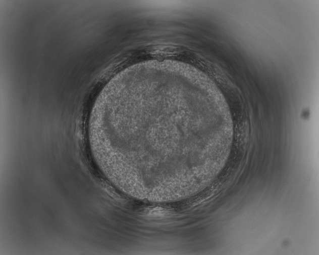 X0000116800755201001081334