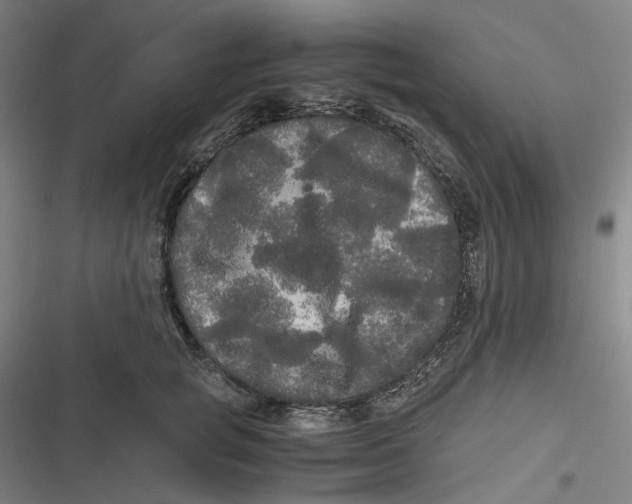 X0000116800757201001081334