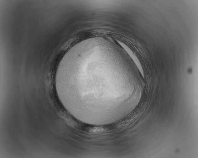 X0000116800759201001081334