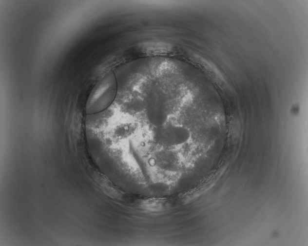 X0000116800761201001081334