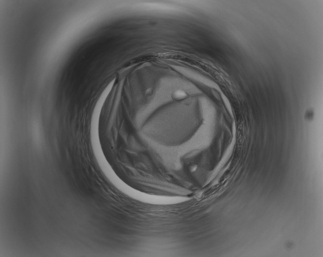 X0000116800762201001081334