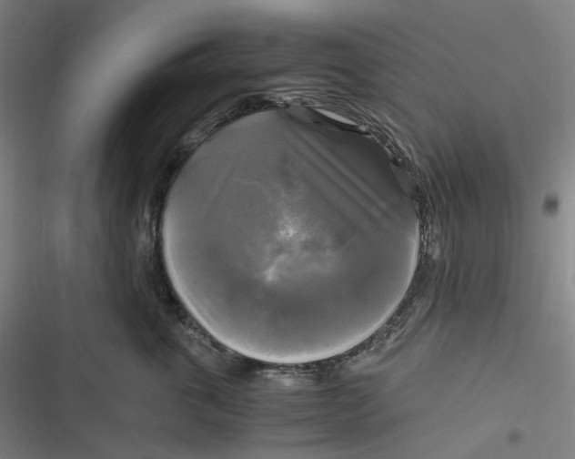 X0000116800763201001081334