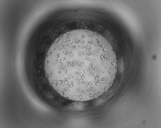 X0000116800766201001081334
