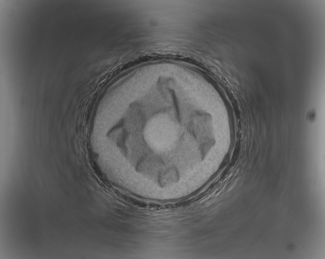 X0000116800769201001081334