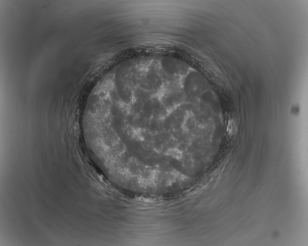 X0000116800771201001081334