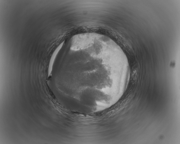 X0000116800772201001081334