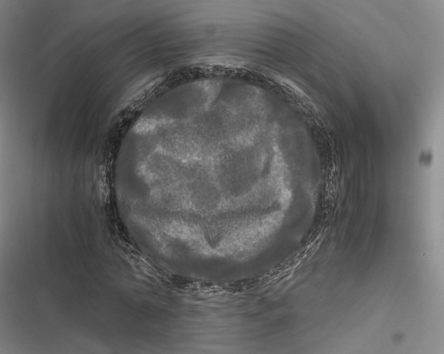 X0000116800774201001081333