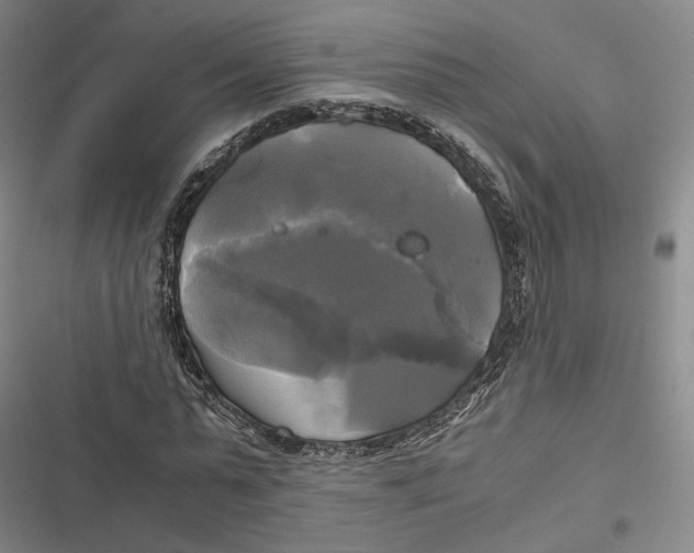 X0000116800775201001081333