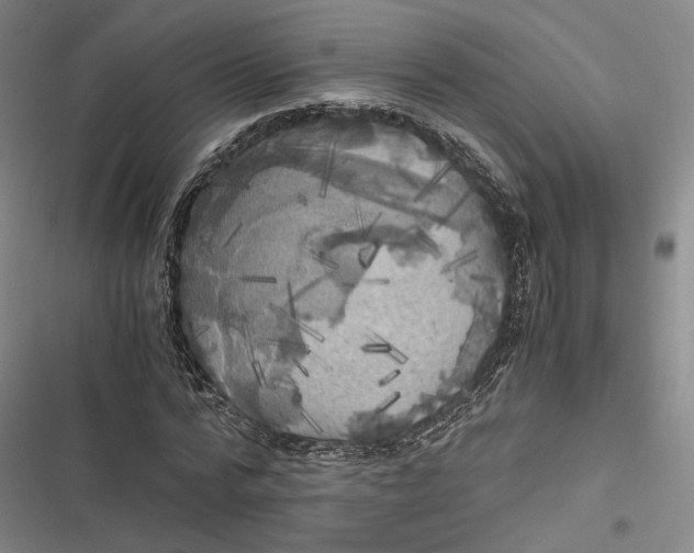 X0000116800776201001081333