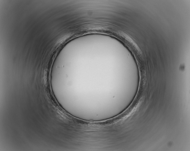 X0000116800777201001081333