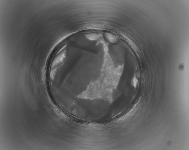 X0000116800779201001081333