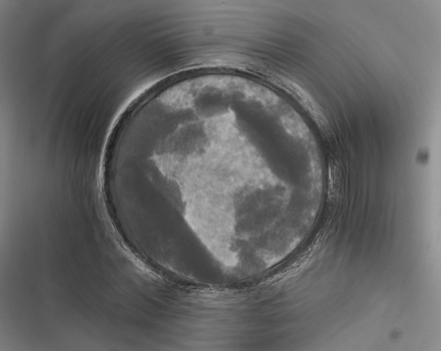 X0000116800780201001081333