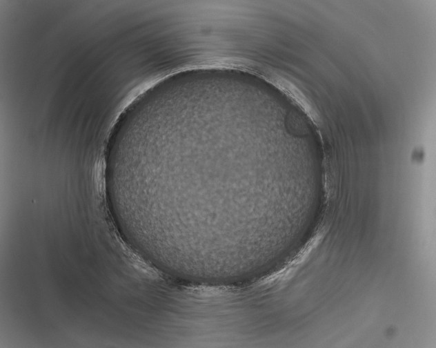 X0000116800781201001081333