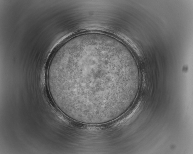 X0000116800782201001081333