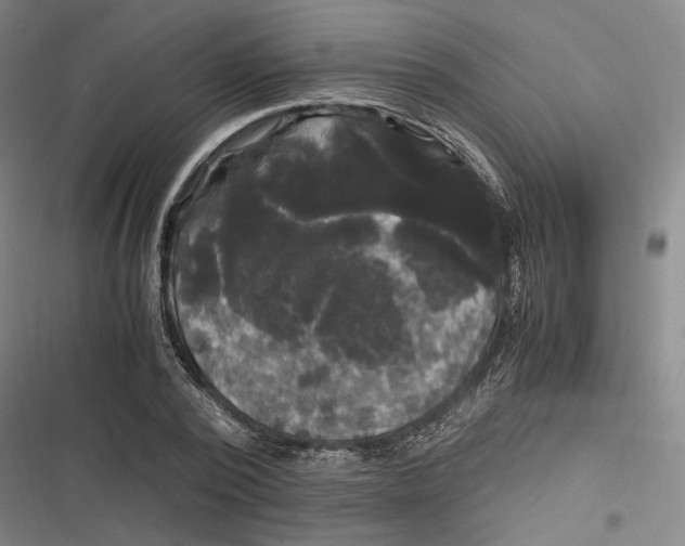 X0000116800784201001081333