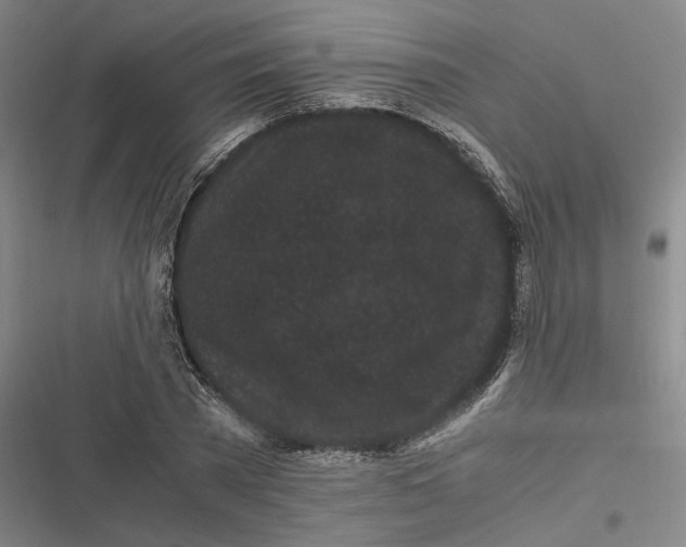 X0000116800785201001081333