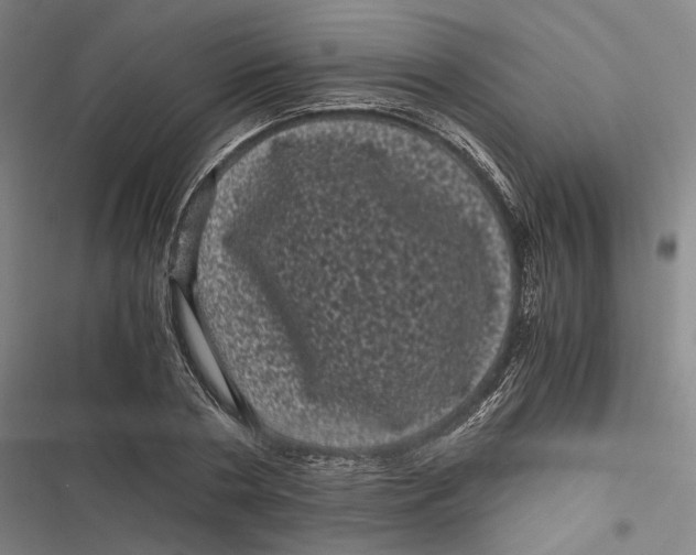 X0000116800786201001081333