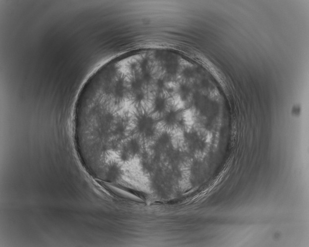 X0000116800787201001081333