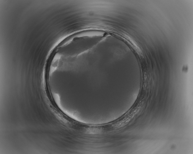 X0000116800788201001081333