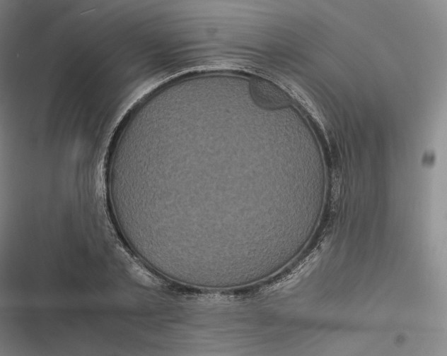 X0000116800789201001081333