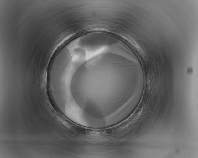 X0000116800790201001081333