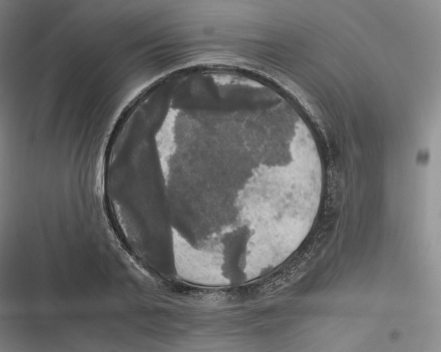 X0000116800791201001081333