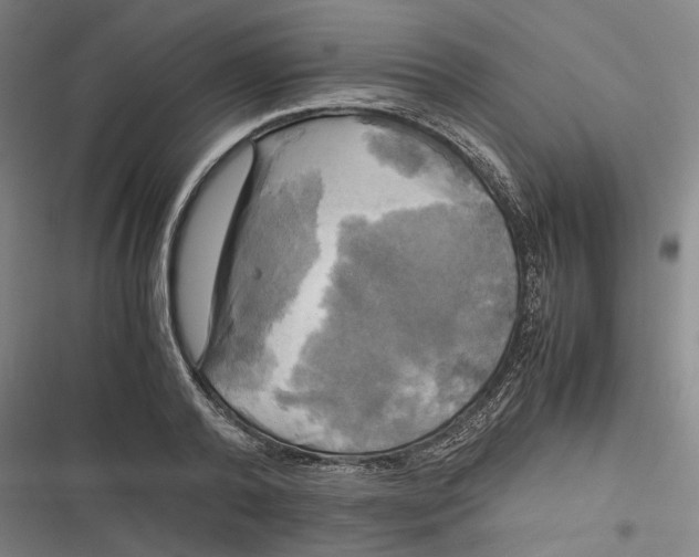 X0000116800792201001081333