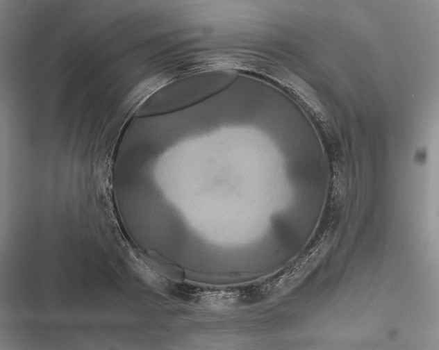 X0000116800793201001081333