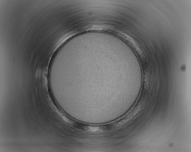 X0000116800794201001081333