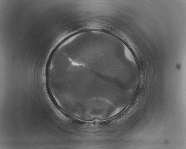 X0000116800795201001081333