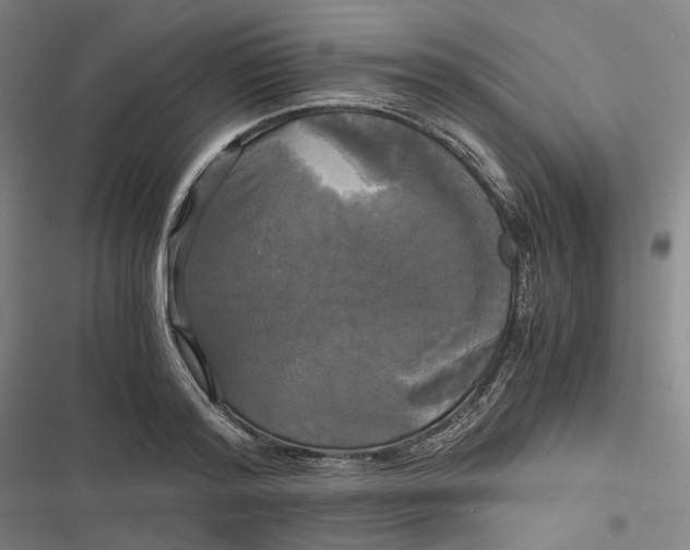 X0000116800796201001081333