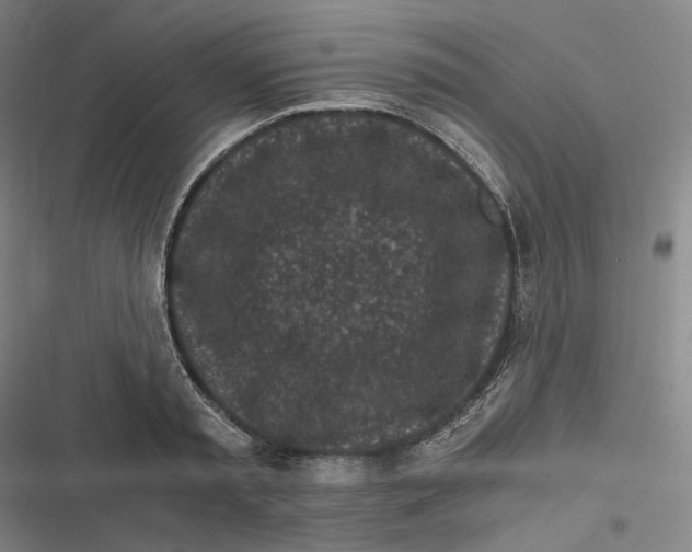 X0000116800797201001081333