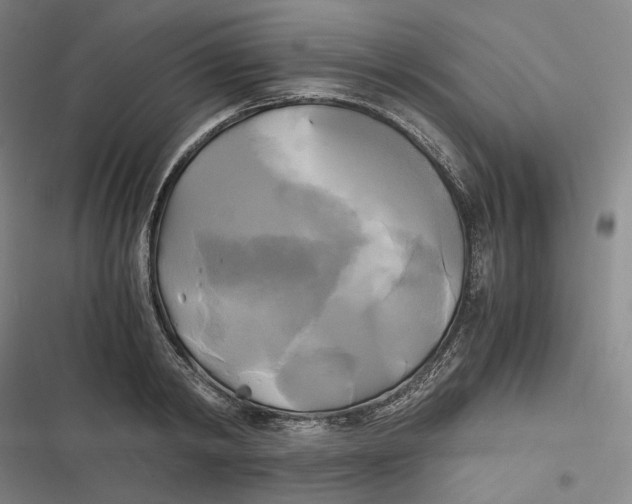 X0000116800798201001081333
