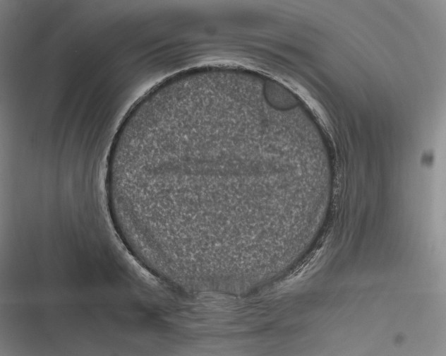 X0000116800799201001081333