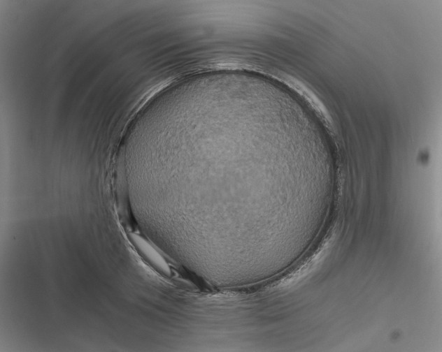 X0000116800801201001081333