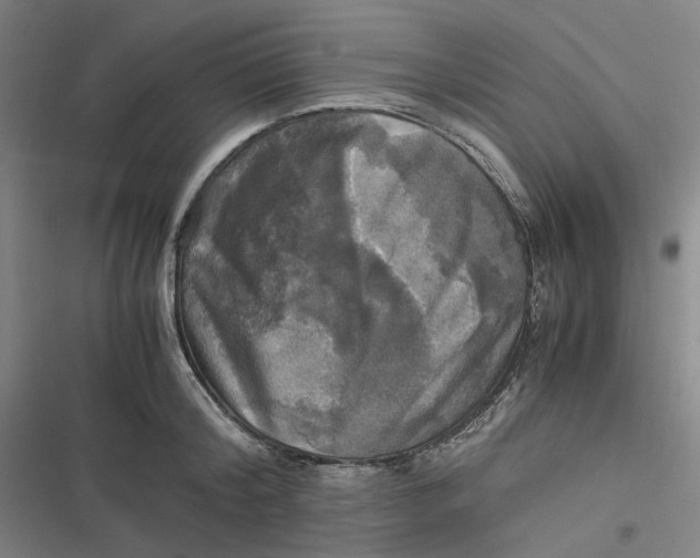 X0000116800804201001081333