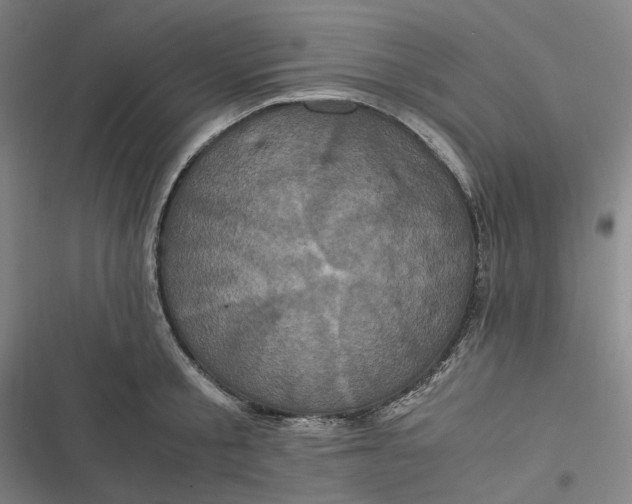 X0000116800805201001081333