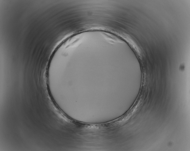 X0000116800806201001081333