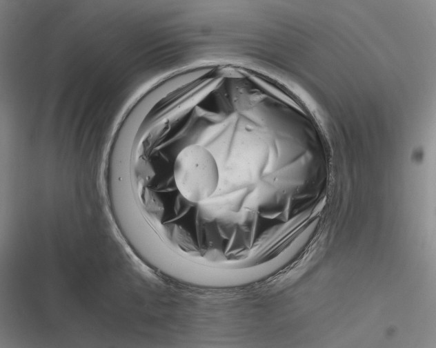 X0000116800807201001081333