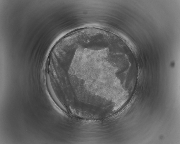 X0000116800808201001081333