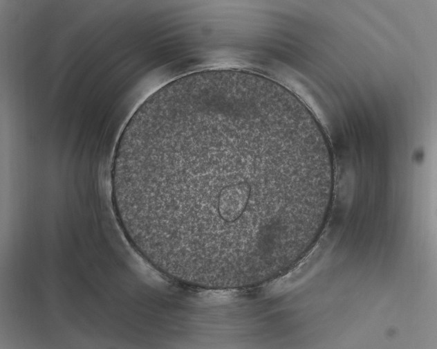 X0000116800810201001081333