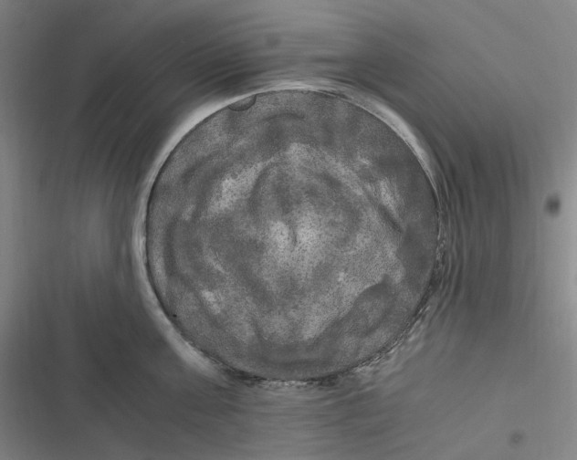 X0000116800811201001081333