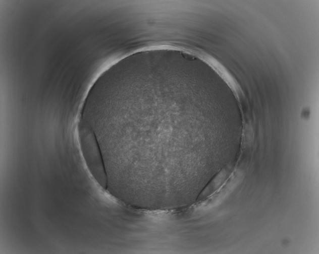 X0000116800813201001081333