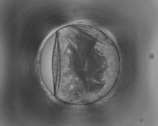 X0000116800816201001081333