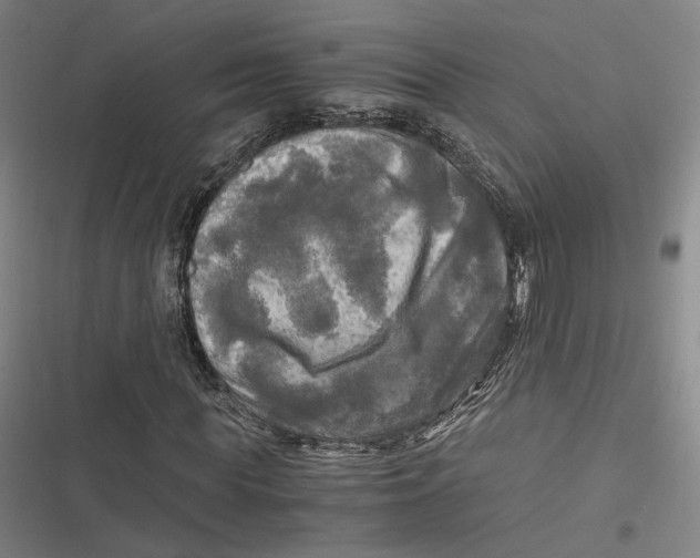 X0000116800819201001081332