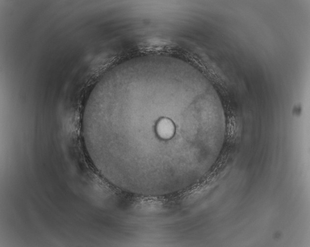 X0000116800820201001081332