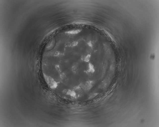 X0000116800821201001081332