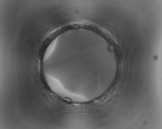 X0000116800822201001081332