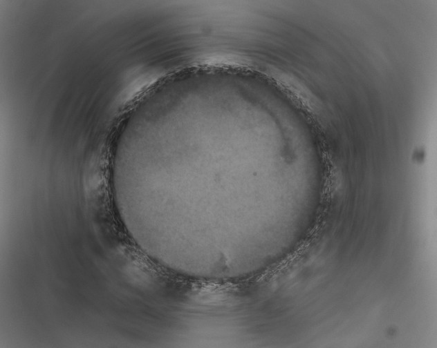 X0000116800824201001081332